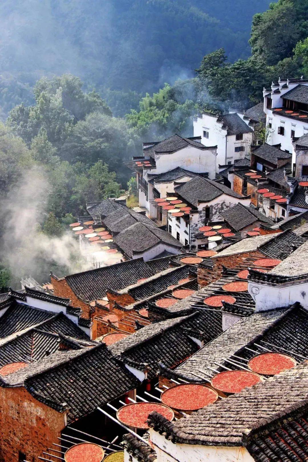 江西致敬，领导与同胞的深情呼唤