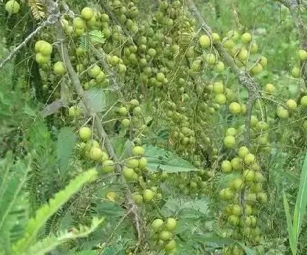 海南，梦想启航之地——自信铸就辉煌之旅