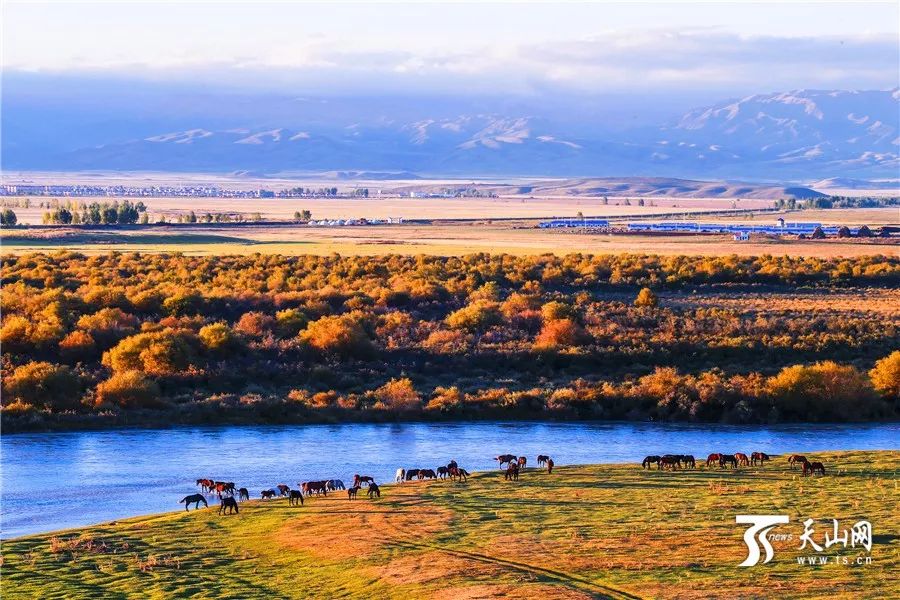 新疆，壮美多彩大地的探秘之旅